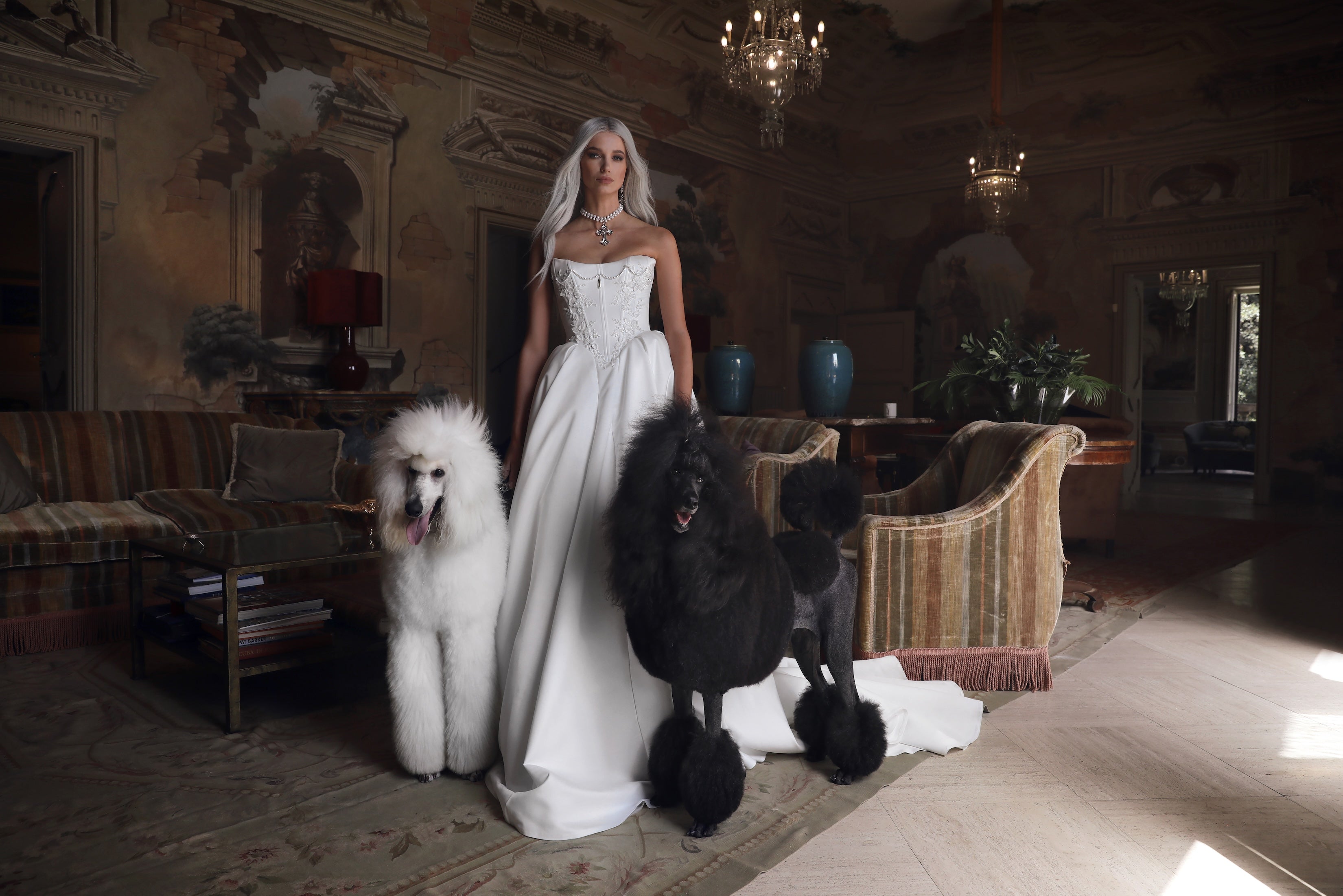 Wedding_Dress_Bridal_Gown_veil_Accessories_Los_Angeles_ForLove_Bridal-Monique-Lhuillier-pallas-Sima-Couture-Elysee-Vivienne-Westwood- Dana-Harel-Milla-Nova-La-Premiere-privee-loho-cinq-Sophia-Tolli-ines-di-santo-leah-da-gloria-rivini-oscar-de-la-renta-ysa-makino-eden-aharon-Mariana-Hardwick-Oksana-Mukha-Couture-Dana-Harel-Kyha-Nicole-Felicia-Enzoani-bridal-veils-best-bridal-store-in-los-angeles-enzoani-vera-wang-sarah-seven-Grace-Loves-Lace-lovely-bride-lilis-rachel-&-rose-liz-martinez-Dovita-bridal-minis